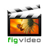 Fig Video