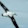 Velero Albatross