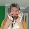 TeasyCat