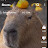 @Capybara-lover146