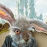 Crazzy Rabbit