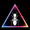 ObsidianAnt