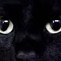 <a href="/channel/UCch3Ma_KDBrnFCXn5sLF62w" class=" yt-uix-sessionlink     spf-link  g-hovercard" data-sessionlink="ei=he-IVP7DI-mb0wWNsIDQCg" data-ytid="UCch3Ma_KDBrnFCXn5sLF62w" data-name="">Véro Rehearsais</a>