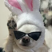 ちゃんちゃんまる
