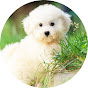 The World of Cute Pets logo