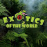 1HLYZAWZdiE-channel-avatar-Exotics of the World TV