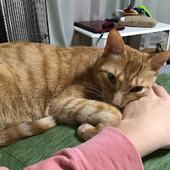 森林葉