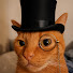 gdewePpLLas-channel-avatar-MeowLoop