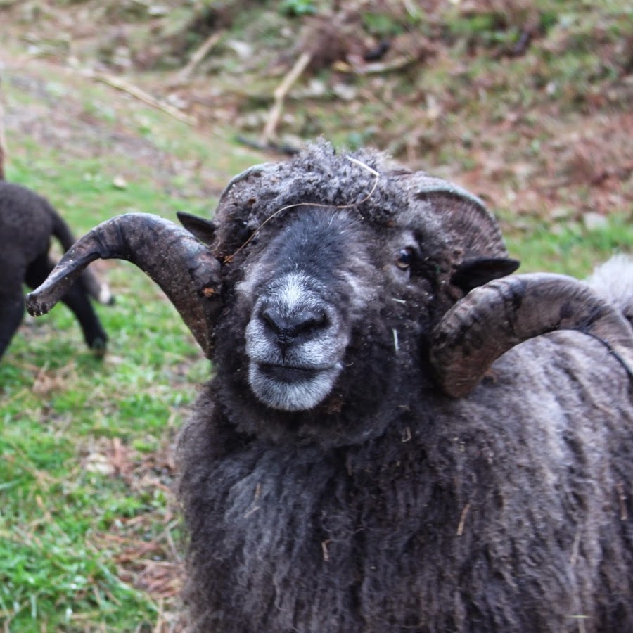 Beste Spielothek in Rams finden Beste Spielothek in Rams finden