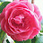 @브룩실즈-o9g
