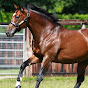 Thoroughbreds Planet