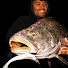 2_EQv_nk7w8-channel-avatar-Manik fishing