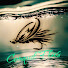 tpH-gmmjX4s-channel-avatar-Conquil Flies Panguipulli