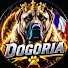 SWaaeZ5kyYY-channel-avatar-DOGORIA