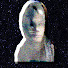 Past Fugl