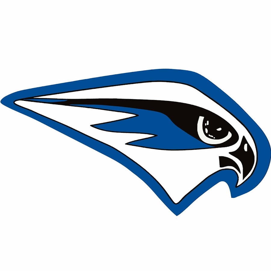 FALCON TV - YouTube