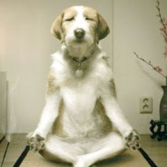 ヒミツノトビラ