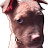 @BeauxBuford Avatar