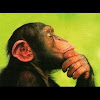 thinkinmonkey