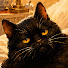 DoBMz_VdcX8-channel-avatar-Velvet Stray Jazz