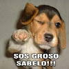 theagus2011
