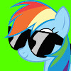 GreenscreenPonies