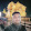 amresh Pratap Singh