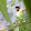 Nirmal Reddy