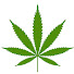 Josh Papers