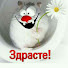 Алексей Нет