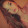 andreachristine2419