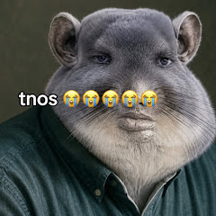 Tnos channel avatar