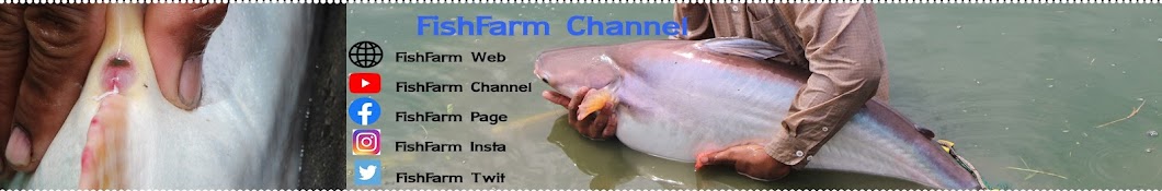 FishFarm Channel Awatar kanału YouTube
