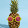 bobo pineapple