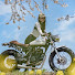 Ud721Cnq2-U-channel-avatar-🌸バイクのある日常🌸 and TWのカスタム　イデグチモータース