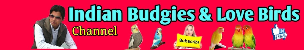Indian Budgies and Love Birds YouTube channel avatar