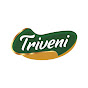 TRIVENI GROUP logo