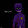 The Purple Guy