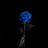@احمدعلي-ظ1س1ذ