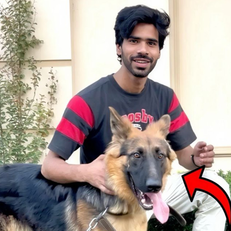 SK Pet House 1