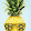 Pineapple Tv