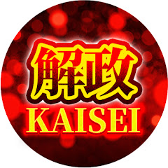 「KAISEI-解政-」アイコン画像