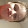 CREGS DAILY VIDEOS