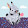 LexiCorn Kitten