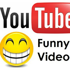 Funny New Videos