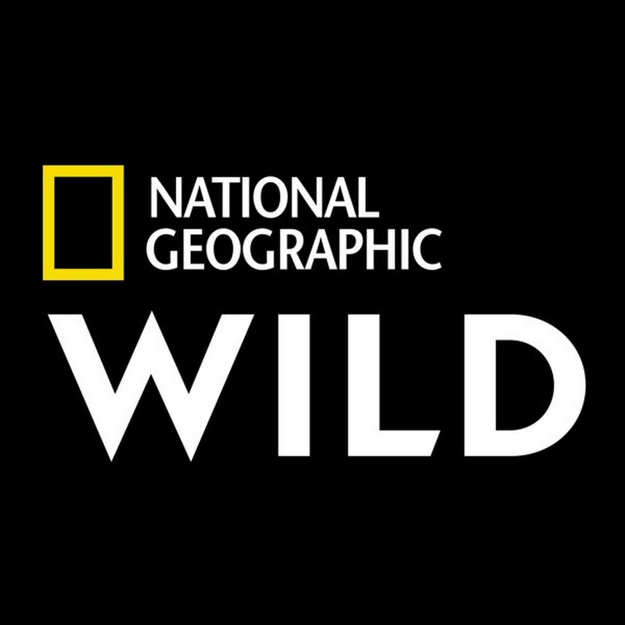 Nat Geo Wild   img-1