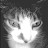 @gigantesdasoftware1446