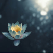 Shine From Within