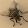 Mat Web