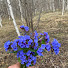 Роман Бухряков